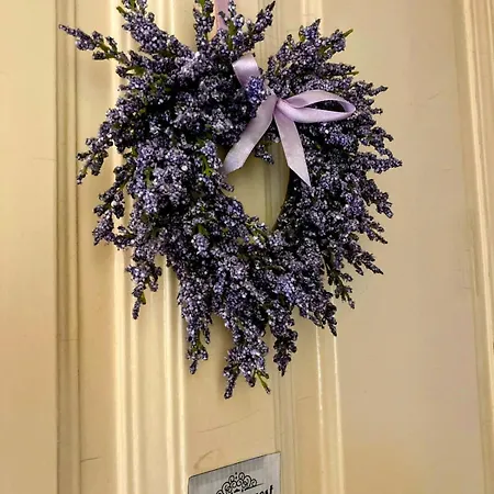 Lavender Dreams Budapest